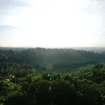 Affitta Maison d'hôtes San Miniato